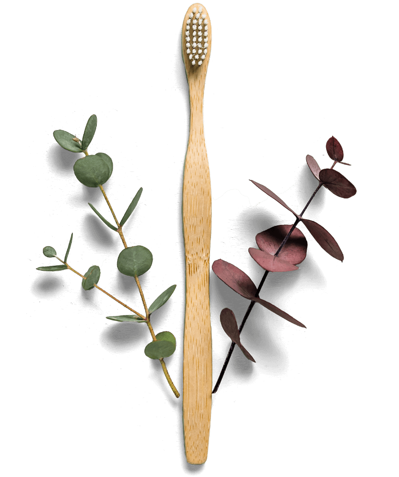 Zahnbürste mit Kräutern